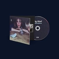 Masterpiece Big Thief