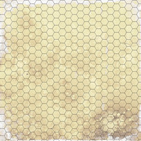 Mata suchościeralna RPG 50x50 - Papirus 1 (hex) D&D Playmaty