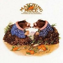 Matching Mole Matching Mole