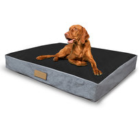 Materac Dla Psa, Legowisko Xxl Dla Dużego Psa, Petsen