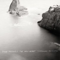 Mattingly: The Wild Heart Contemporaneous & David Bloom
