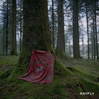 Mayfly Mantaraybryn
