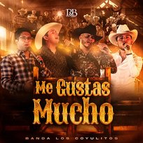 Me Gustas Mucho Banda Los Coyulitos