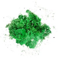 Mech Chrobotek Reniferowy Naturalny Stroik 30G