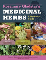 Medicinal Herbs. A Beginners Guide Gladstar Rosemary