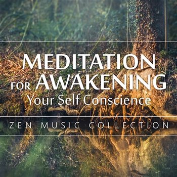 Meditation for Awakening Your Self Conscience - Zen Music Collection (Inner Healer, Through Thought, Beliefs, The Balance Between Emotions & Behaviors) 50 Tracks of Relaxing Tunes - Guided Meditation Music Zone