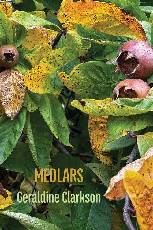 Medlars - Geraldine Clarkson | Książka w Empik