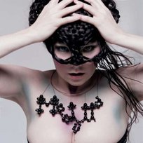 Medulla Bjork