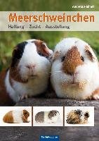 Meerschweinchen Reinert Andreas