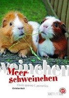 Meerschweinchen Koch Christian