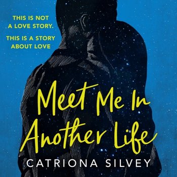 Meet Me in Another Life - Silvey Catriona