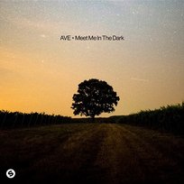 Meet Me in the Dark Ave
