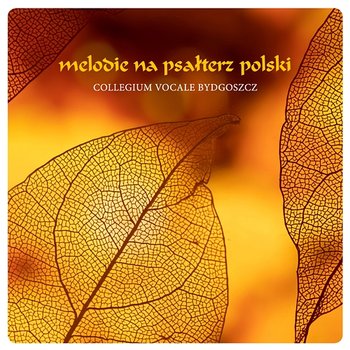 Melodie na psałterz polski - Collegium Vocale Bydgoszcz