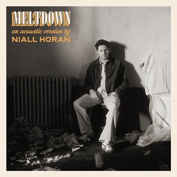 Meltdown - Niall Horan