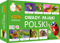 Memory - Owady i pająki Polsk, gra, Adamigo, 40 elementów - Adamigo