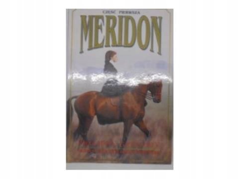 Meridon cz. 1 - Paul Gregory S. | Książka w Empik