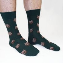 Męskie skarpetki w Nieźwiedzie / Candy Sox Candy Sox