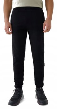 Męskie spodnie dresowe 4F TROM1014 20S M - 4F