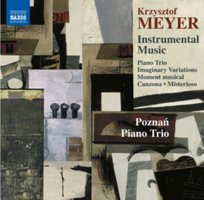 Meyer Instrumental Music Poznań Piano Trio