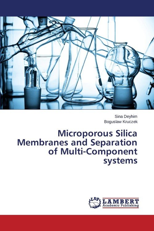 Microporous Silica Membranes and Separation of Multi-Component systems ...