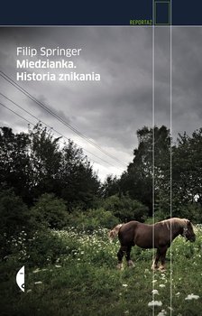 Miedzianka. Historia znikania - Springer Filip