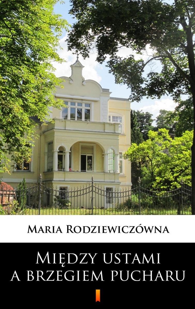 Między ustami a brzegiem pucharu - ebook epub