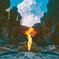 Migration (Limited Edition), płyta winylowa Bonobo