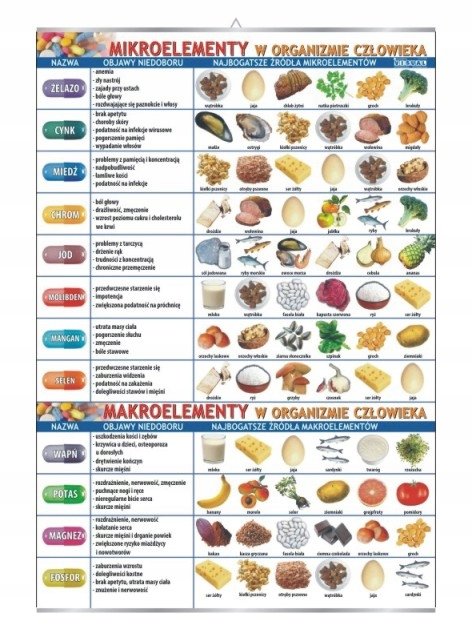 Mikroelementy makro w organizmie człowieka plakat - VISUAL System ...