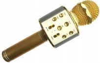 Mikrofon karaoke XREC WS858
