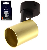 MiLAGRO oprawa Volf Spot złoty lampa kinkiet + żarówka LED 6,5W barwa NEUTRALNA