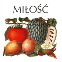 Miłość Miłość