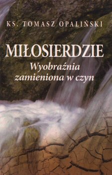 Miłosierdzie. Wyobraźnia zamieniona w czyn - Opaliński Tomasz