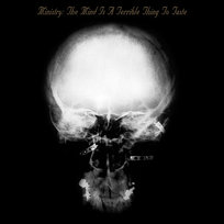 Mind Is A Terrible Thing To Taste Ministry