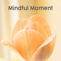 Mindful Moment Helios Relaxing Space