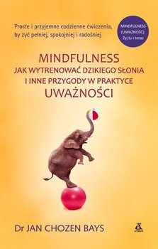 Mindfulness: Jak wytresować dzikiego słonia i inne przygody w praktyce uważności - Bays Jan Chozen