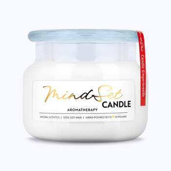 MindSet Candle Gingerbreads 450 ml - Mindset Cosmetics