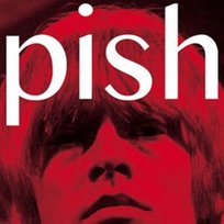 Mini Album Thingy Wingy The Brian Jonestown Massacre