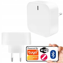Mini MultiBramka Centralka do kontaktu 230V Alarm BT ZigBee WiFi TUYA Tuya