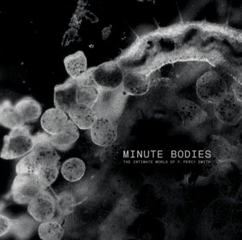 Minute Bodies... Limited Edition - Tindersticks