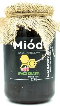 Miód Spadziowy Iglasty Jodła 1.2 kg - Duży Słój - Malinowy Bartnik