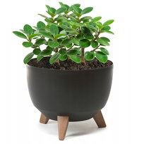 Misa ROMA 240 - czarny LA797-04 LAMELA