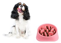 Miska dla psa na karmę z wypustkami spowalniająca jedzenie