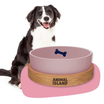 Miska dla Psa, rozmiar M 1300ml, Cashmire Pink, Animal Island - Inna marka