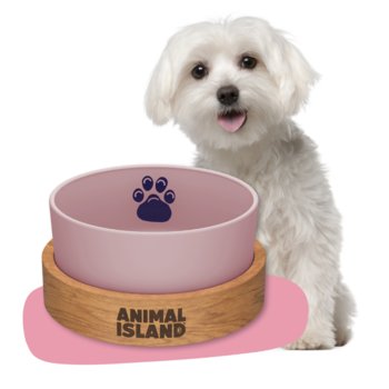 Miska dla Psa, rozmiar S 900ml, Cashmire Pink, Animal Island - Inna marka