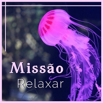 Missão: Relaxar - Música Anti-Stress, Sons de Paz, Dose Diária de Felicidade, Harmonia Calmante - Headache Relief Unit