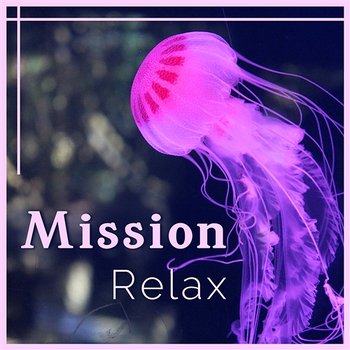 Mission: Relax - Musique anti stress, sons de paix, dose quotidienne du bonheur, harmonie apaisante - Headache Relief Unit