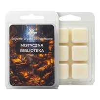 MISTYCZNA BIBLIOTEKA Wosk Zapachowy Do Kominka Sojowy 70g LUCSOY