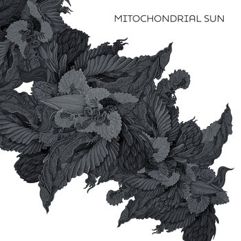 Mitochondrial Sun, płyta winylowa - Mitochondrial Sun