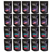 MIX smaków Dolina Noteci Premium Kot 20x85g