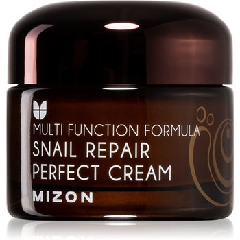 Mizon Multi Function Formula Snail krem do twarzy z ekstraktem ze śluzu z ślimaka 60% 50 ml - Inna marka